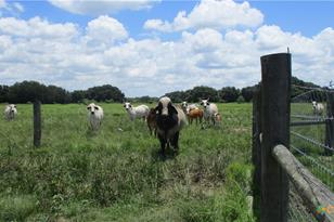 6018 County Rd 18, Damon, TX 77430 - Photo 21