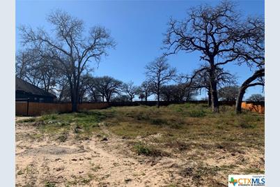 213 Ash Parkway, La Vernia, TX 78121 - Photo 7