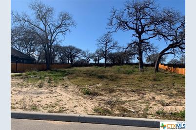 213 Ash Parkway, La Vernia, TX 78121 - Photo 3