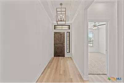 7228 Caladium Drive, Temple, TX 76502 - Photo 5