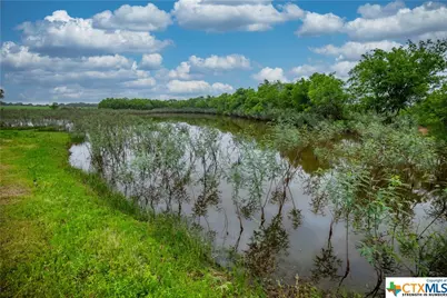 000 La Vernia Road, Adkins, TX 78101 - Photo 31