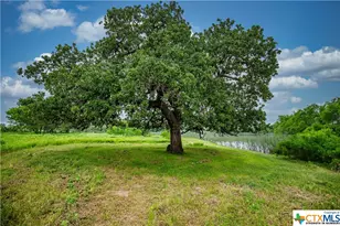 000 La Vernia Rd, Adkins, TX 78101 - Photo 29