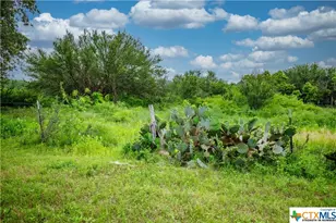 000 La Vernia Rd, Adkins, TX 78101 - Photo 15