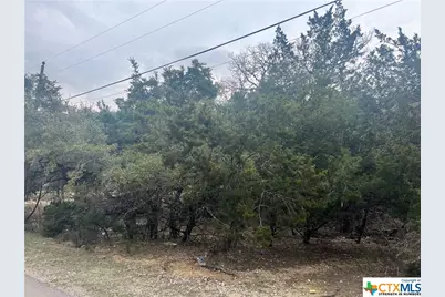 809 Scenic Run, Canyon Lake, TX 78133 - Photo 5