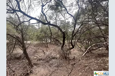 809 Scenic Run, Canyon Lake, TX 78133 - Photo 3