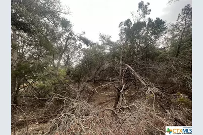 809 Scenic Run, Canyon Lake, TX 78133 - Photo 7