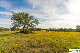 5271 Hwy 290 W, Hye, TX 78635 - Photo 41