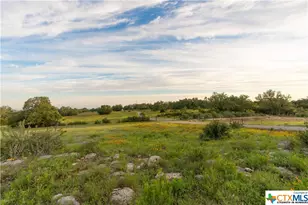 5271 Hwy 290 W, Hye, TX 78635 - Photo 33