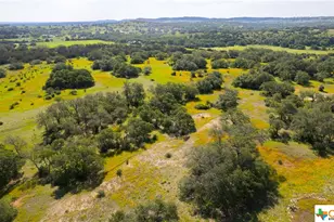 5271 Hwy 290 W, Hye, TX 78635 - Photo 11