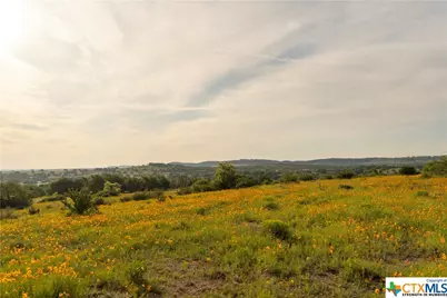 5271 Hwy 290 W, Hye, TX 78635 - Photo 39