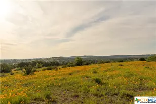 5271 Hwy 290 W, Hye, TX 78635 - Photo 39