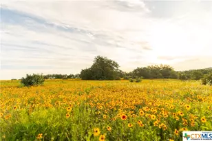 5271 Hwy 290 W, Hye, TX 78635 - Photo 37