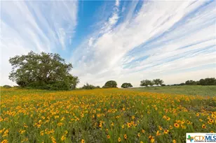 5271 Hwy 290 W, Hye, TX 78635 - Photo 35