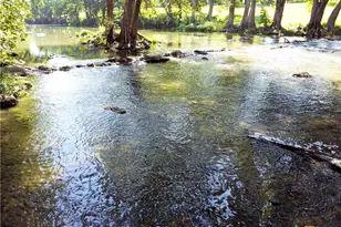 730 E Mather St, New Braunfels, TX 78130 - Photo 33