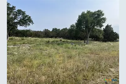 133 Macaw Lane, Spring Branch, TX 78070 - Photo 5