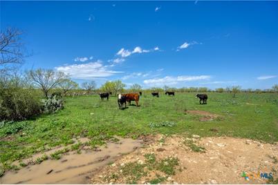 4121 County Road 2719, Adamsville, TX 76525 - Photo 25