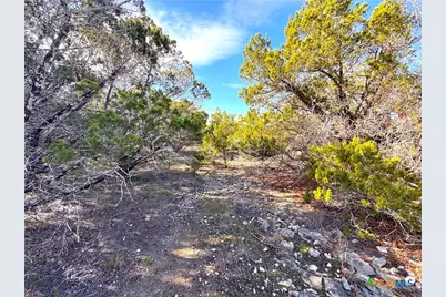 1001 Oblate Drive, Canyon Lake, TX 78133 - Photo 7