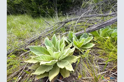1001 Oblate Drive, Canyon Lake, TX 78133 - Photo 9