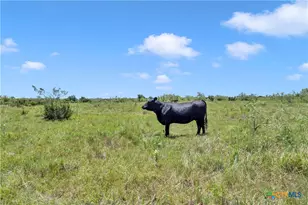 10600 Co Rd 210, Bertram, TX 78605 - Photo 29