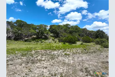 329 Arthur Court, Spring Branch, TX 78070 - Photo 3