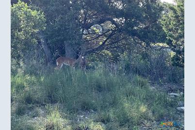 280 Scenic Hills Drive, Canyon Lake, TX 78133 - Photo 3