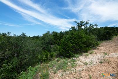 1031 Axis Trail, New Braunfels, TX 78132 - Photo 19