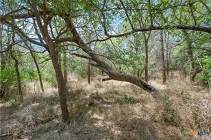 Tbd Santa Clara Rd, Seguin, TX 78155 - Photo 11