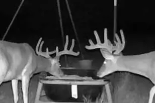 542 County Rd 2275, Lampasas, TX 76550 - Photo 13