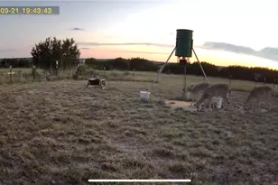 542 County Rd 2275, Lampasas, TX 76550 - Photo 11