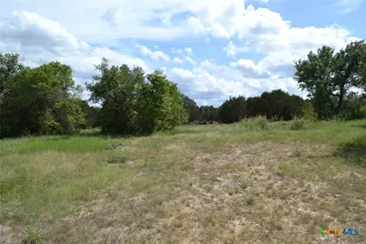 13.829 Acres ** 9840 Fm 116, Gatesville, TX 76528 - Photo 37