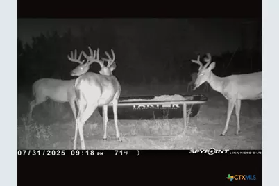 542 County Road 2275, Lampasas, TX 76550 - Photo 3