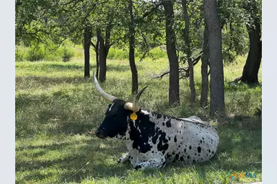 281 Chimney Cove Drive, Marble Falls, TX 78654 - Photo 13