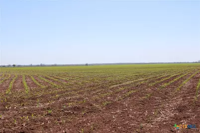 Tbd County Road 301, Marlin, TX 76661 - Photo 3