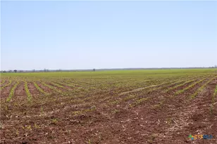 Tbd County Road 301, Marlin, TX 76661 - Photo 3