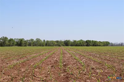 Tbd County Road 301, Marlin, TX 76661 - Photo 1