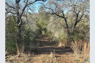 Tbd Sandy Fork Road, Harwood, TX 78632 - Photo 9