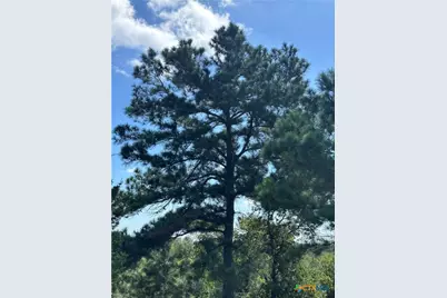 Tbd Sandy Fork Road, Harwood, TX 78632 - Photo 29