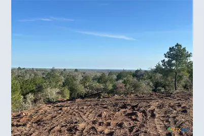 Tbd Sandy Fork Road, Harwood, TX 78632 - Photo 1