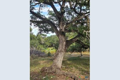 10140 Rebecca Creek Road, Spring Branch, TX 78070 - Photo 11