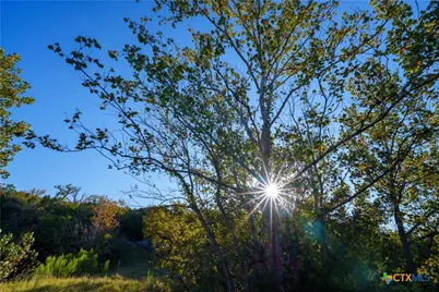 582 Delaware Creek Road, Blanco, TX 78606 - Photo 3