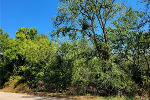 Tbd Dale Ln, Dale, TX 78616 - Photo 1
