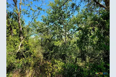 Tbd Dale Lane, Dale, TX 78616 - Photo 7