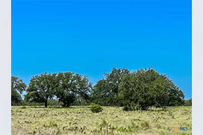 Lot 106 N Waterbuck Way, Lampasas, TX 76550 - Photo 13