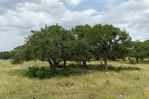 Lot 110 Kudu Ct, Lampasas, TX 76550 - Photo 5