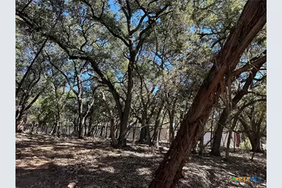 672 Burr Oak Lane, Canyon Lake, TX 78133 - Photo 7