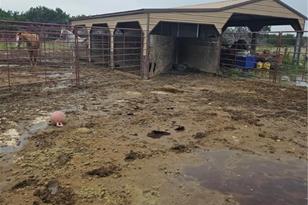 4950 Co Rd 110, Burnet, TX 78611 - Photo 29