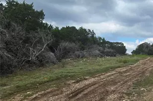 4950 Co Rd 110, Burnet, TX 78611 - Photo 23