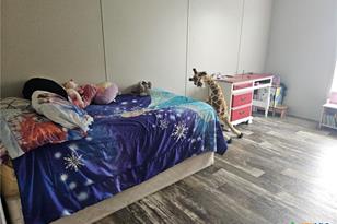 4950 Co Rd 110, Burnet, TX 78611 - Photo 11