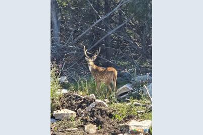4950 County Road 110, Burnet, TX 78611 - Photo 27