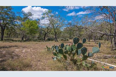 Tbd County Road 434, Stockdale, TX 78160 - Photo 3